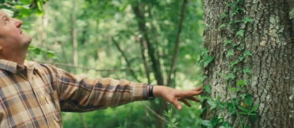 actualité UN FEU DE CHARME