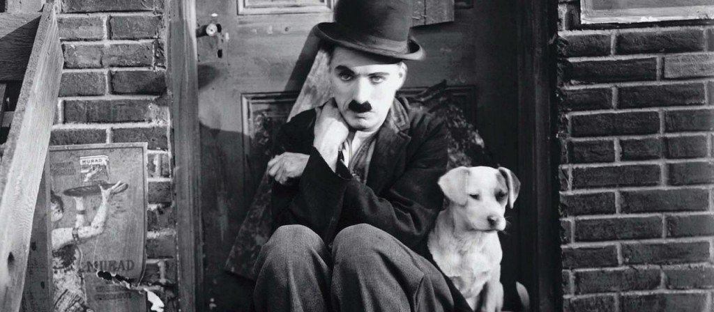 actualité UNE VIE DE CHIEN